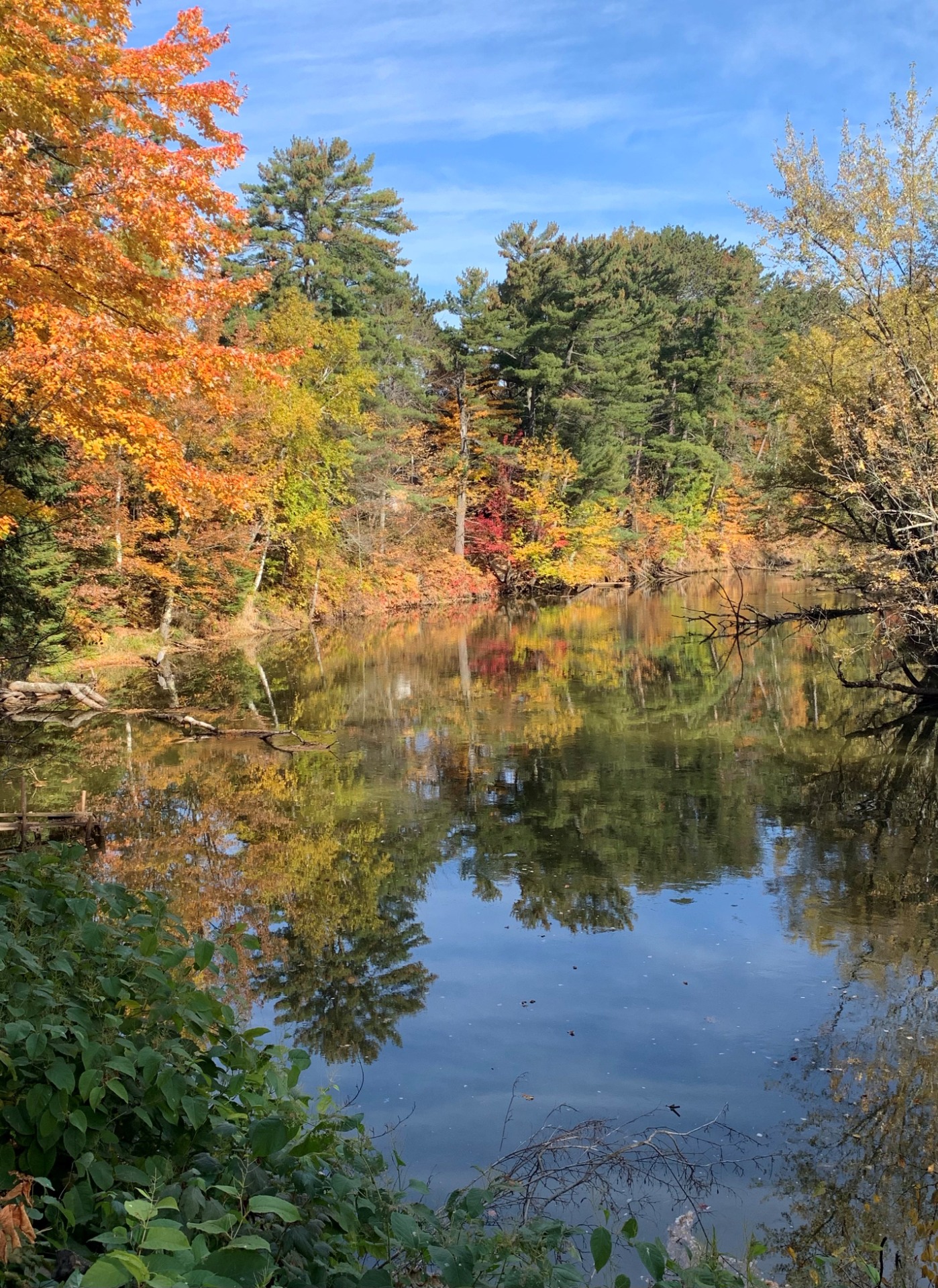 Best Northwoods Resort Willow Wood Lodge by Willow Flowage